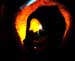 Pumpkin gallery - 19